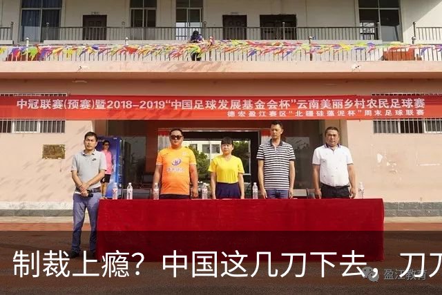 制裁上瘾？中国这几刀下去，刀刀见血，疼不疼自己知道！